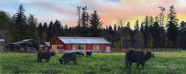 The McClintock's Farm