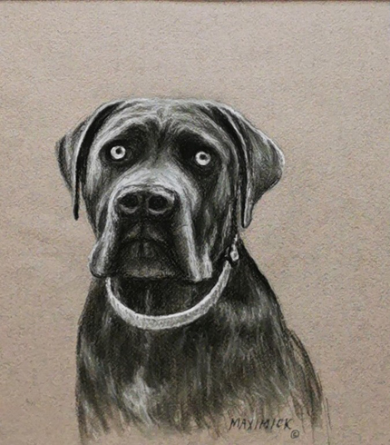 Zuess Charcoal