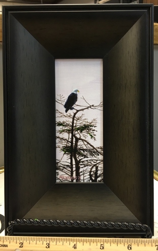 Fishing Eagle