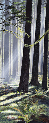 Under Nature's Canopy