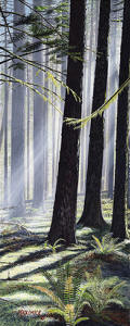 Under Nature's Canopy