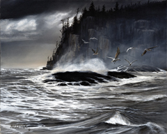 Wild Coast British Columbia